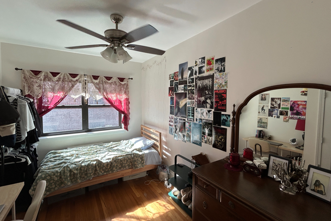 Bedroom - Summer Sublet (Jun-Aug) Coolidge Corner/Longwood Medical Area