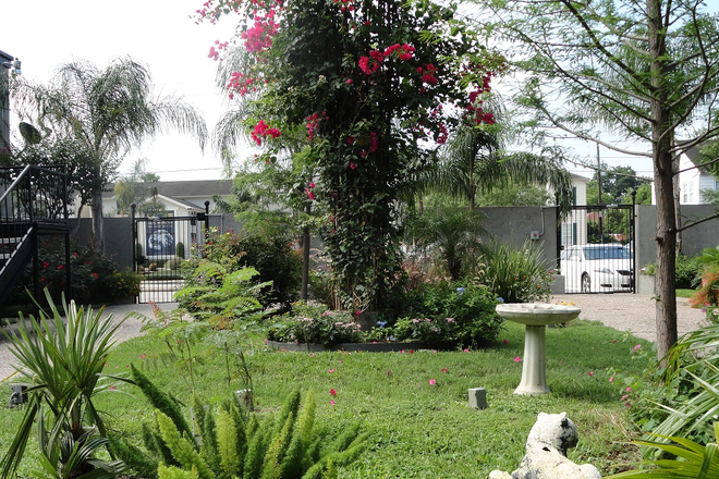 Courtyard - 1 Bedroom/1Bath Quaint and convenient location near the Museum district/Upper Kirby.