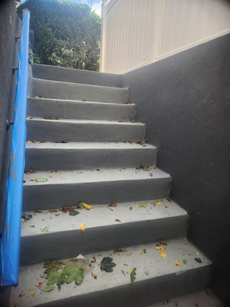 Separate entrance - Renovated Basement Apartments