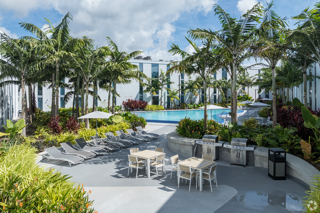 Pool - VOX Miami Spring 2025 1BR/1BA Sublease - Male Apartments