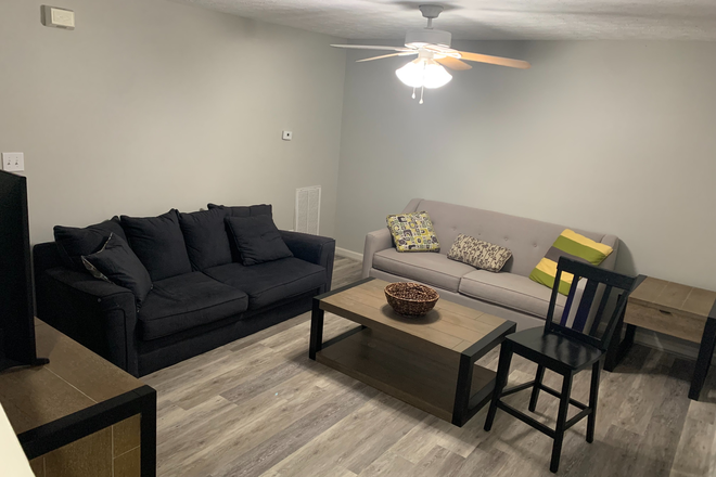 Living room - Seeking reliable female students and professionals. Townhome