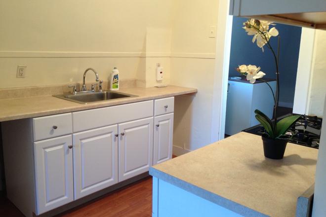Kitchen - Large 2 bedroom apt in quiet and convenient Newtonville