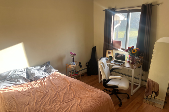 Bedroom - 🌞 Summer House Sublet – Bright & Cozy Room in Amherst