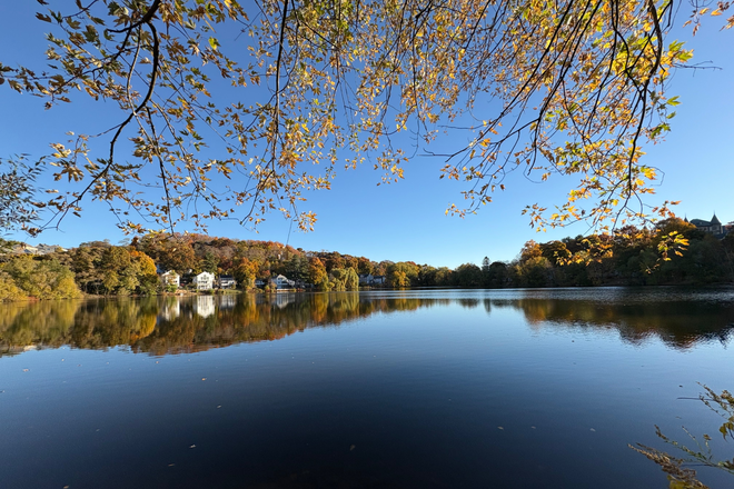 pond - Apartment close to main campus and a pond