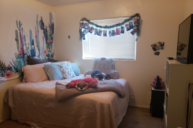 Large Bedrooms! - Beautiful home and soooo close to Campus! Available Fall 2026