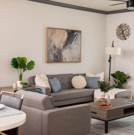 Living room - Canopy Apartments