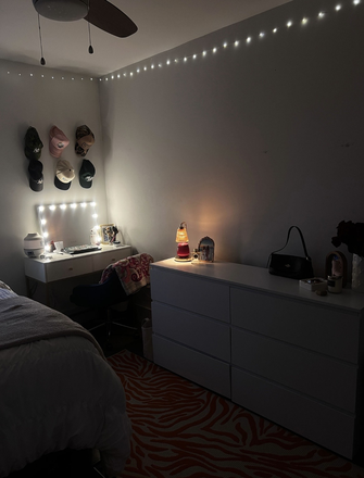 bedroom - Apartment on Green Line