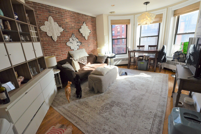 Living room - NO BROKER FEE, Beautiful, Spacious 1 Bed on Marlborough St for 9/1! Apartments