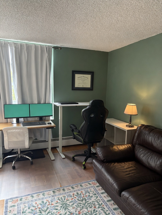 Living room by windows - Condo close to campus
