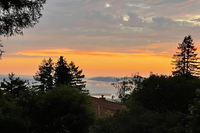 Evening view of the bay from the deck - Tranquil Urban Oasis - Berkeley Hills Studio with Stunning Views of Bay near Tilden Park!