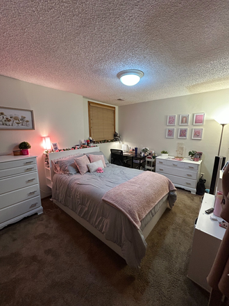 bedroom - Spring 2026 Sublet - Close to Campus Condo
