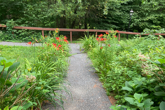 view out front door - Whimsical, artsy, warm home to rent in quiet neighborhood amongst trees. 20-ish mins to VLS.????????