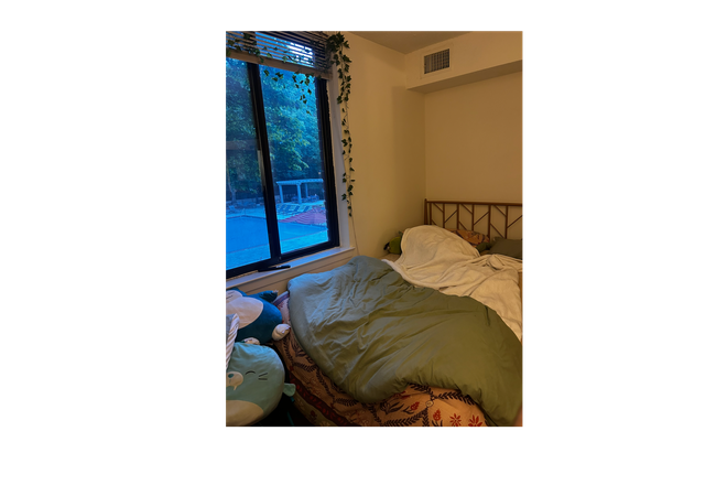 Bedroom - 2501 Porter Apartments