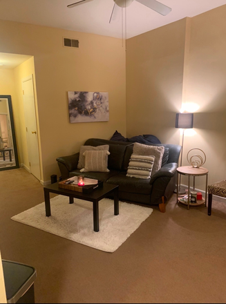Living Room - Awesome 1 bedroom very close to campus Apartments