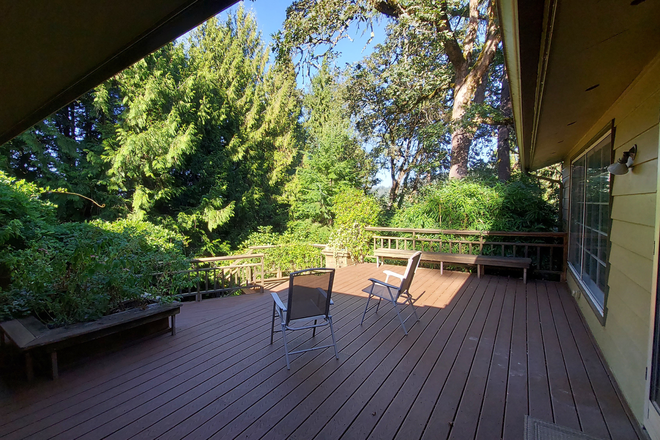 Deck and back yard - The Emerald Oasis House