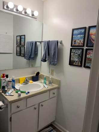 Bathroom - Poplar Place-2bed, 2bath Apartments