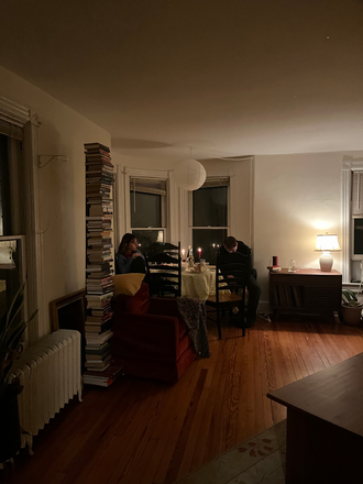 Living room - 2BR apt-Maple St-Princeton