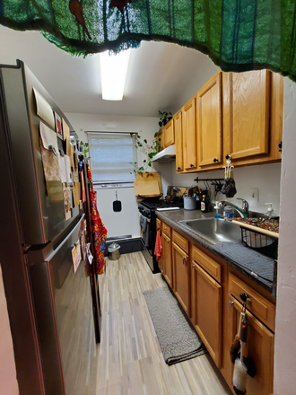 Kitchen - Paragon Apartment