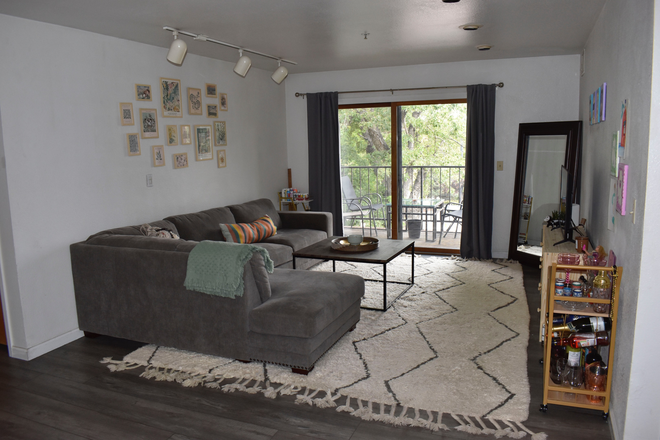 Living Room - University Court 4 Bedroom Apartment for Spring Sublet. 2 minute walk to campus and The Hill