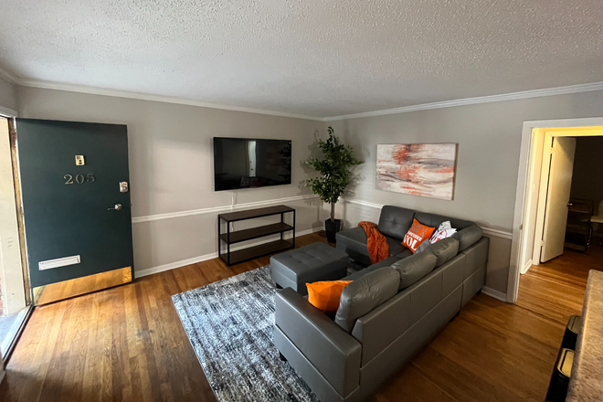 Great room with lots of room and light - Newly Rehabbed, Fully Furnished, Pool, 2 Bed/1 bath Apartment 1 block to UTK (3 or 2 students)