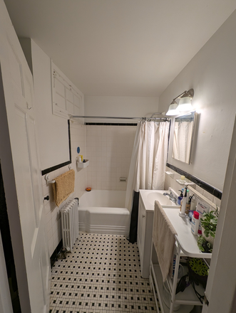Bathroom - currently furnished, but personal materials will likely be removed over the summer. Pieces can be let at your preference. - Quaint Block in the Neighborhood Apartments