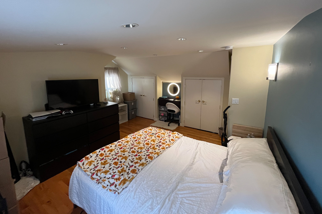 Master bedroom pic 2 - BIG BEDROOM next to Adelphi & LIRR