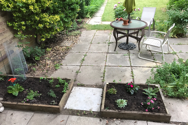 Back garden - Sunny 1Br full first floor, two entrances, eat-in kitchen, QUIET house, back garden, private ho