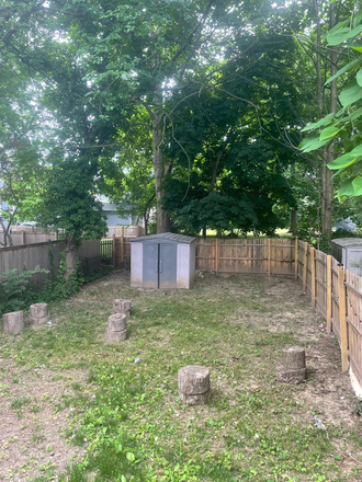 Backyard - Cozy and Conveniently Located Basement Apartment.