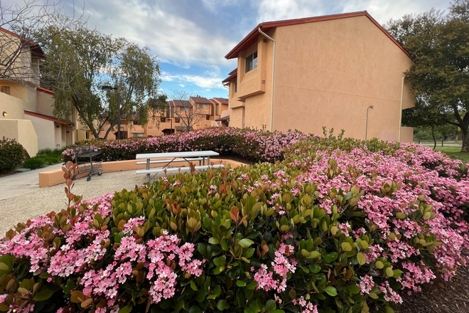 Outside - Entire Cozy Furnished 2Bedroom Apartment with Piano — All Utilities Included | Summer 2026