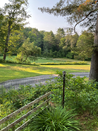 Country Property driveway - Tree Top Studio Apartment