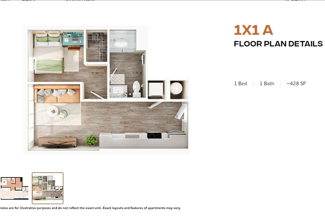 Unit Layout with Furniture - Hub On Campus Tampa Apartments