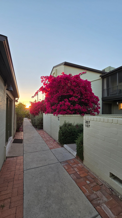 Outside - Desert Oasis Condo