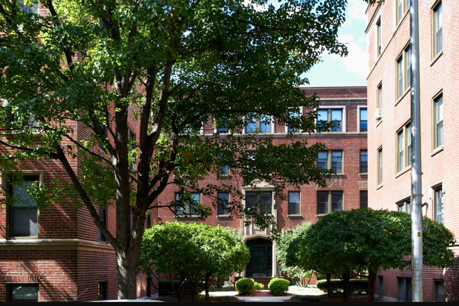 9-13A Ware St. Street View - Ware St. Studio Apartment **SUMMER SUBLEASE**