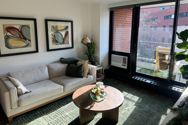 Living Room - 1 Bed 1 Bath at Soldier's Field Park Bld. 6 | Summer Sublet | Furnished, Great Lighting, Gy Apartments