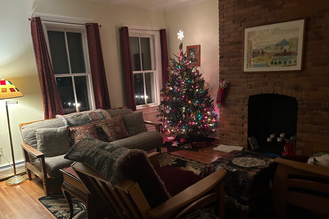 Shared Living room at Christmas last year - fully furnished bedroom, share home w/owner & 2 cats start 1/1/26