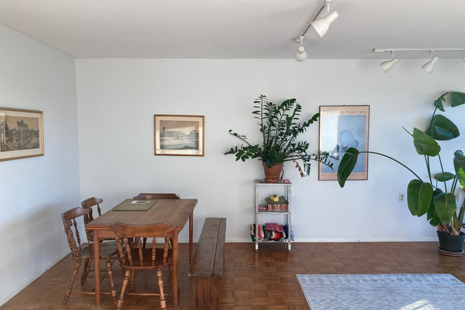 living room - Room for short-term sublet in Harvard Square Condo