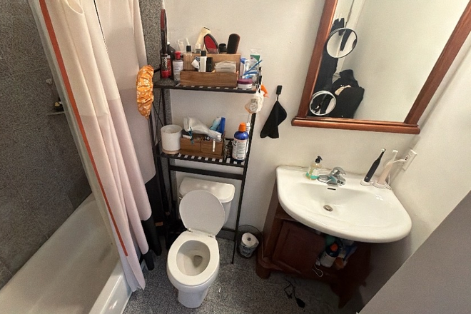 Bath - 1 bed 1 bath Dorchester NO BROKERS FEE!!! Apartments