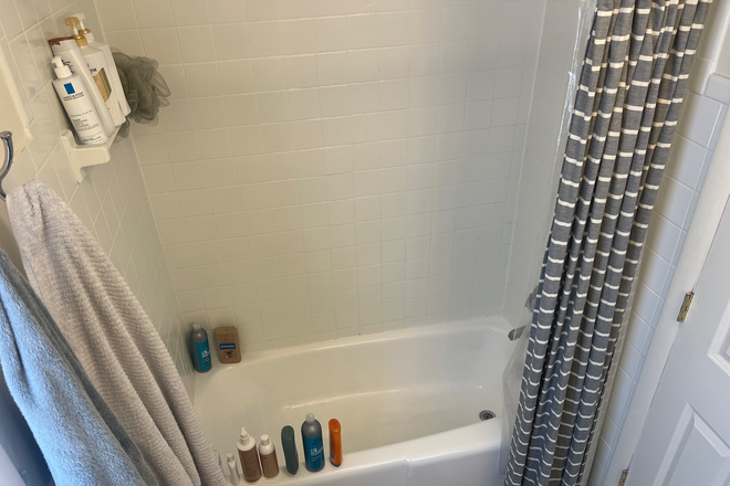 Alt image of shower - Spring 2026 Sublet NEEDED Townhome