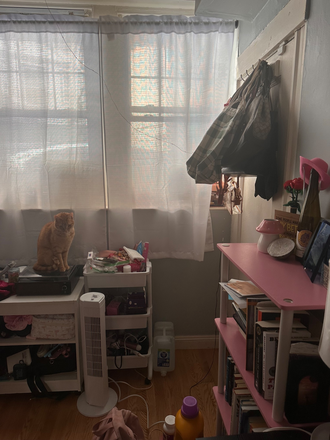 Bedroom - Cheap apartment near Brookline (SUMMER SUBLET)