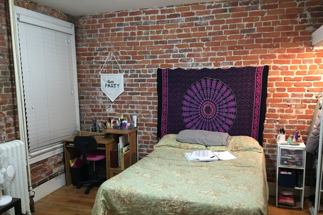 . - 4 bedroom 13 Haviland St #4- AVAIL 9/1/26 Apartments