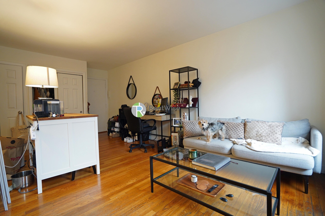 3 - JUNE 2025 - NO FEE - Gorgeous Back Bay 1 bed. Easy MBTA. Apartments