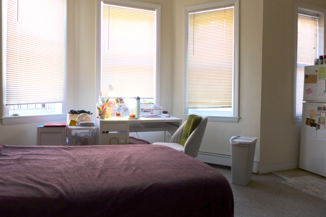 bostonrealtyonline.com - Mission Hill Studio with Tons of Natural Light and Character