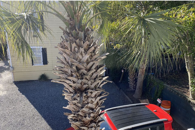 Exterior - Parking - Eclectic Pied A Terre Condo