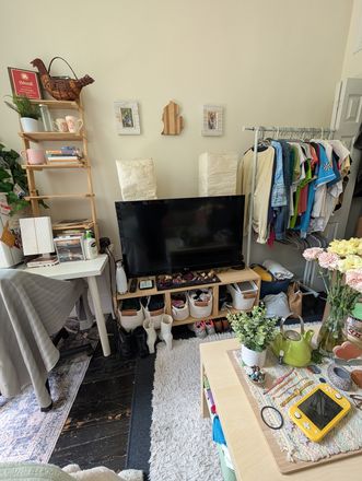 Room TV - Bright, Beautiful Furnished Room in Historic Row House - 1 Block to Metro