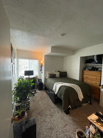 Bedroom - Looking for Roommate Jan 2025 - Jul 2025! Apartments