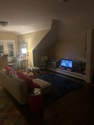 living room - Summer Sublet: One bedroom unit near green line with in unit washer dryer and dishwasher Apartments