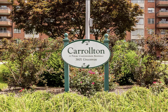 garden - Spatious & Luminous elegant apartment  next to campus for spring semester