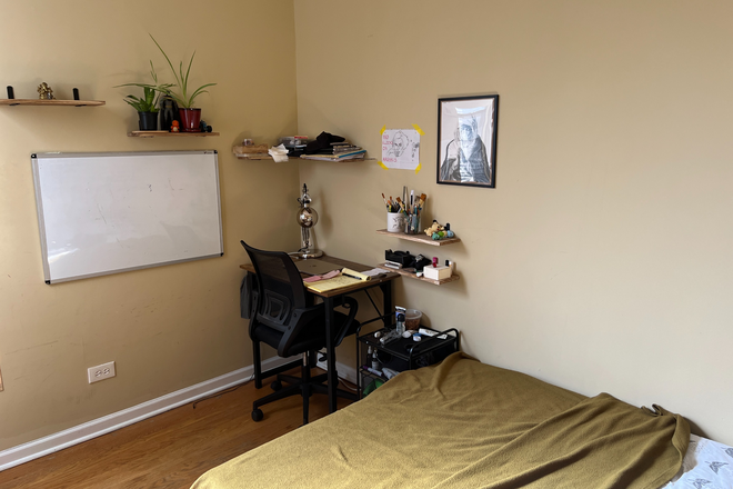 Bedroom Angle 4 - Looking for a roommate at our apartment near UIC west campus