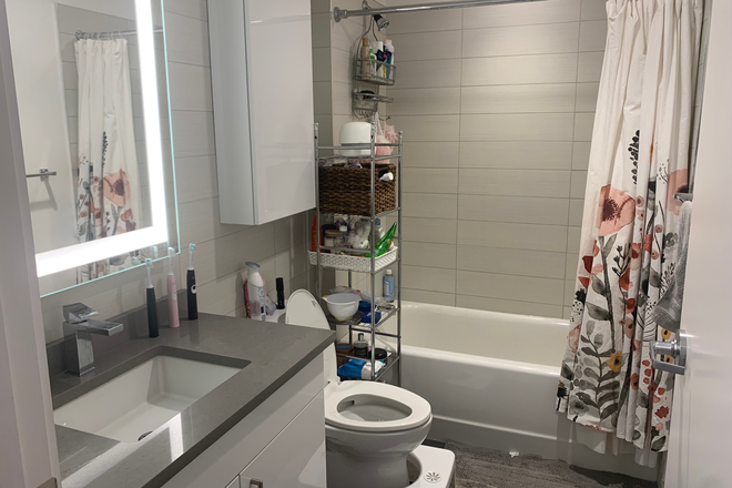 Bathroom - Room in 3 bed/1 bath, Soldiers Field Park (HUH), August 1 lease Apartments
