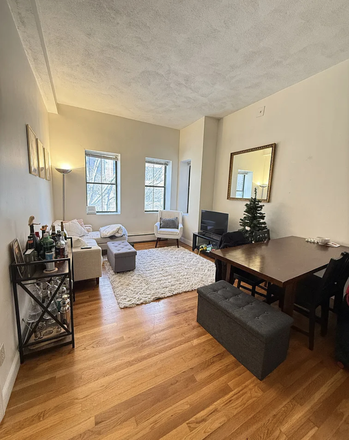 Living room - 1 bedroom sublet in apartment close to campus